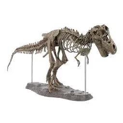 Esqueleto T-Rex