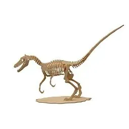 Esqueleto Velociraptor